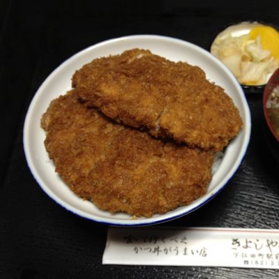 せっかくグルメ きよしや食堂 群馬 下仁田 下仁田カツ丼 玉子でとじない 赤城ポーク バナナマン