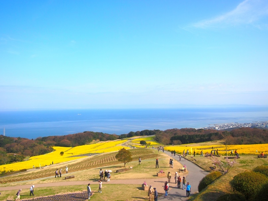 【よ～いドン！】いきなり！日帰りツアー「淡路島」