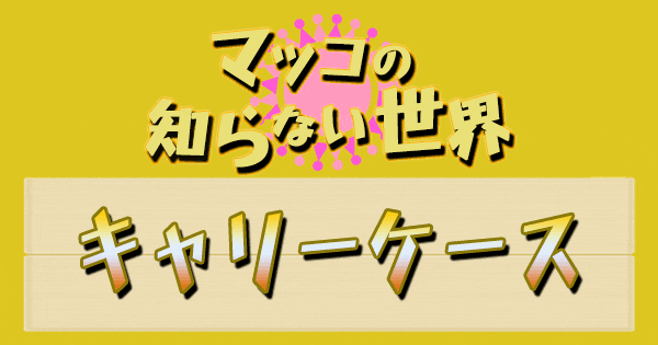 マツコの知らない世界 キャリーケース