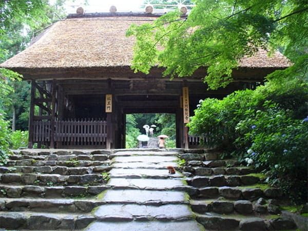 よ～いドン！ たむらけんじ 商店街 いきなり日帰りツアー 山口 防府