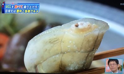 ちちんぷいぷい ご当地グルメ 豊中 ワニの肉 町おこし マチカネ鍋 ガレージ