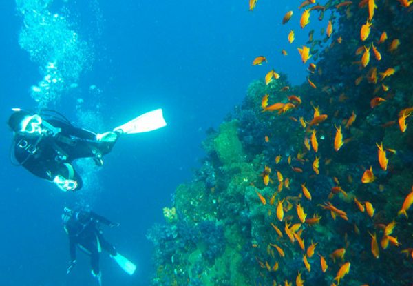 沸騰ワード10 沸騰島 東京 式根島 温泉 海中温泉 無料 露天風呂 海底温泉