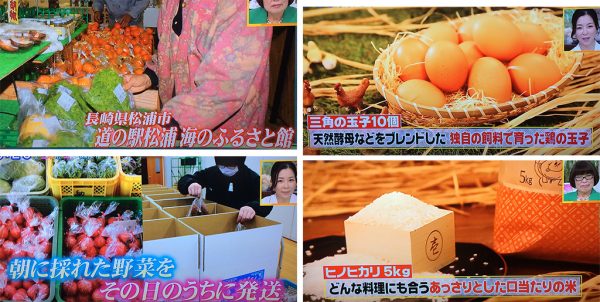 ふるさと館『旬のお野菜+産みたて濃厚玉子+お米5kg』