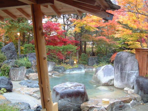 新穂高温泉 谷旅館