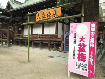 大阪天満宮 てんま天神梅まつり 日本酒飲み比べ 料金 チケット 天満天神梅酒フェス2017 盆梅と盆石展