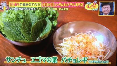 3月24日 大阪ほんわかテレビ ヒットの秘密パクリます たむけん すち子 ベジテジや サムギョプサル専門店 トッピング 韓国のかき氷