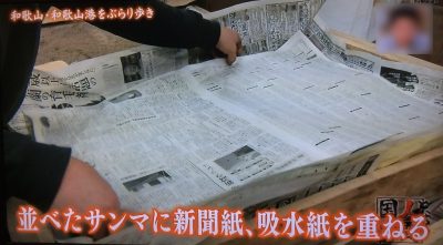 よーいどん 和歌山 灰干しさんま 雑賀崎 取り寄せ