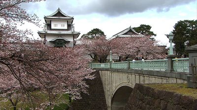 内藤剛志さんが桜咲く金沢へ