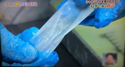 ちちんぷいぷい はじめて食べました グルメ お取り寄せ 購入方法 女と男 和田ちゃん いわたねぎ巻き餃子 遠州根深ねぎ 静岡 磐田