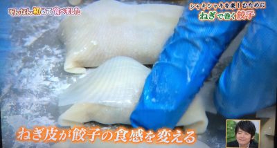 ちちんぷいぷい はじめて食べました グルメ お取り寄せ 購入方法 女と男 和田ちゃん いわたねぎ巻き餃子 遠州根深ねぎ 静岡 磐田