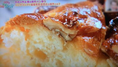 モモコのOH!ソレ!み～よ! 放送内容 関西テレビ グルメ ブログ 紹介した店 春の新作パン ヤナギブソン グロワール 千林大宮 パングランプリ大阪 1日30本限定 クルミとイチジクのブリオッシュ