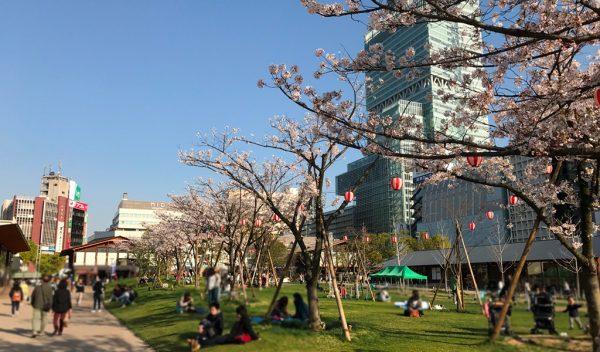 天王寺公園 てんしば オープン 産直市場よってって レストラン ビアガーデン ソライロキッチン バーベキュー 芝生広場 あべのハルカス