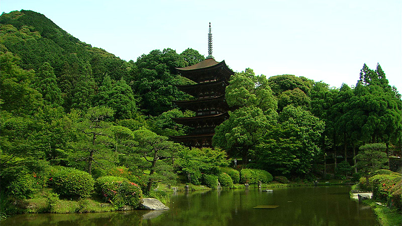 【旅サラダ】下條アトムさんが山口・湯田温泉＆秋芳洞へ 瑠璃光寺五重塔