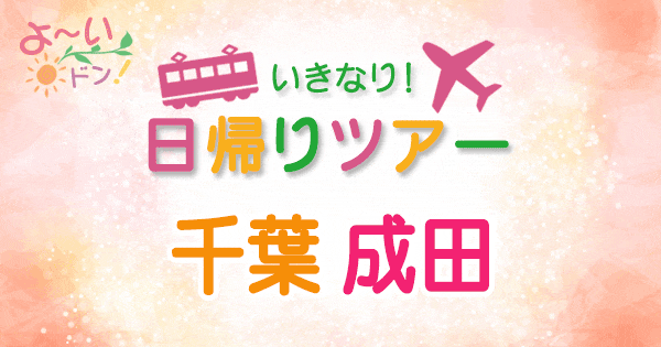 よーいドン いきなり日帰りツアー 千葉 成田市