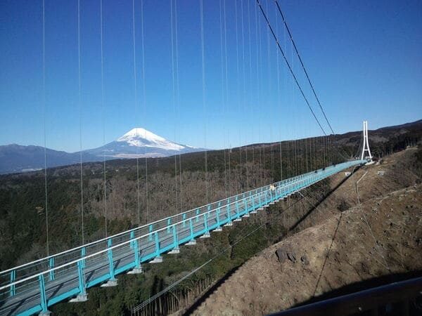 よ～いドン！ たむらけんじ 商店街 いきなり日帰りツアー 静岡 三島 柿田川湧水群