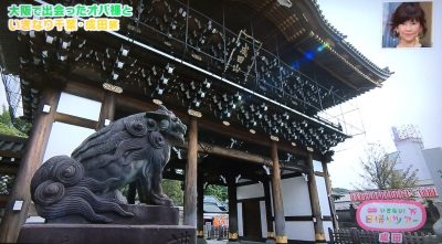 よ～いドン！ たむらけんじ 商店街 いきなり日帰りツアー 6月6日 千葉 成田山新勝寺 パワースポット