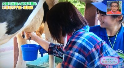 よ～いドン！ たむらけんじ 商店街 いきなり日帰りツアー 6月6日 千葉 成田ゆめ牧場 牛の乳絞り体験