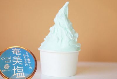 アイスクリーム万博 あいぱく 大阪 あべのハルカス 日本アイスマニア協会 2017年8月 出店店舗 混雑 待ち時間 値段 castano カスタノ 奄美塩ジェラート
