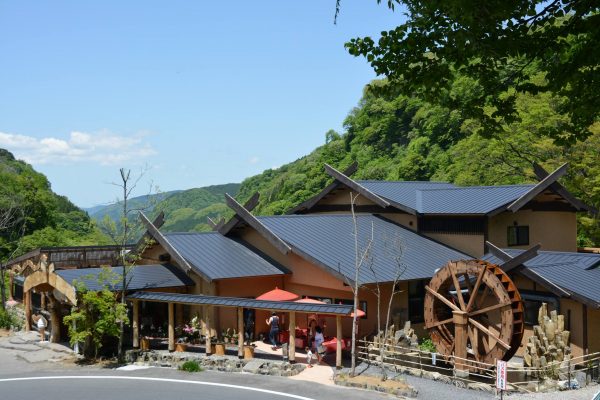 よ～いドン！ たむらけんじ 商店街 いきなり日帰りツアー 7月4日 大分くじゅう 桂茶屋