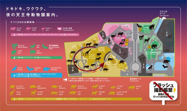 天王寺動物園 ナイトZOO 夜の動物観察 料金