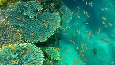 とくダネ 絶景 柏島 イタリア ランペドゥーザ島 船が浮いて見える