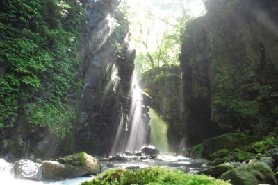 とくダネ 絶景 雄飛の滝