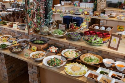 あさパラ 南信州バスツアー JTB ちこり村 バイキング 食事 ランチ