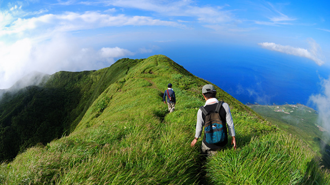 ヒルナンデス 八丈島