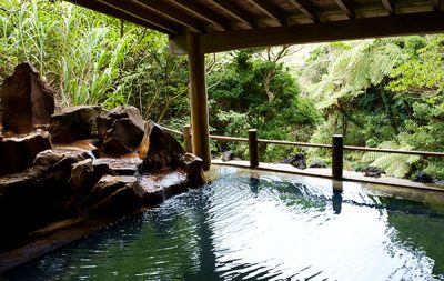 ヒルナンデス 八丈島 裏見ヶ滝温泉 秘境温泉