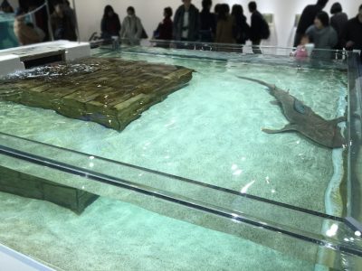 ごぶごぶ 浜ちゃん 浜田雅功 的場浩司 エキスポシティ ニフレル 水族館 海遊館