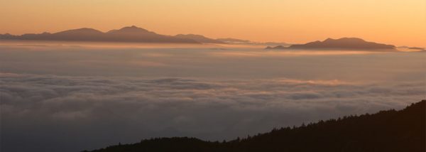 ヒルナンデス 雲海独り占め 夏旅 美ヶ原高原 王ヶ頭ホテル