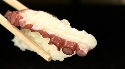バナナマンのせっかくグルメ 兵庫県 明石 タコ 菊水鮓 寿司 明治30年創業