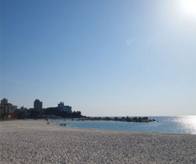 ちちんぷいぷい 和歌山白浜町 温泉民宿 望海 酒井藍