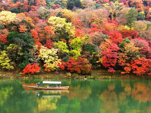 ヒルナンデス 紅葉スポット 温泉 10月25日