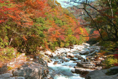 よ～いドン 本日のオススメ３ グルメ 10月24日 岡山 津山 奥津渓 紅葉 甌穴群