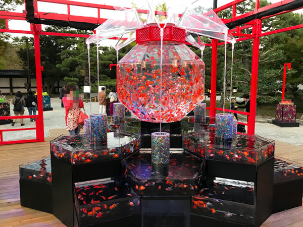 アートアクアリウム京都二条城 超花魁 西日本初登場