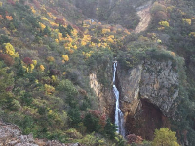 よ～いドン！ たむらけんじ 商店街 いきなり日帰りツアー 11月7日 宮城蔵王 駒草平 紅葉