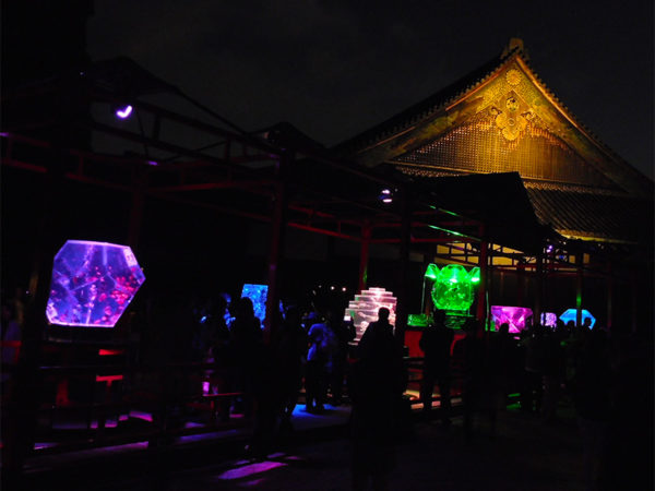 京都 アートアクアリウム 花魁 その他