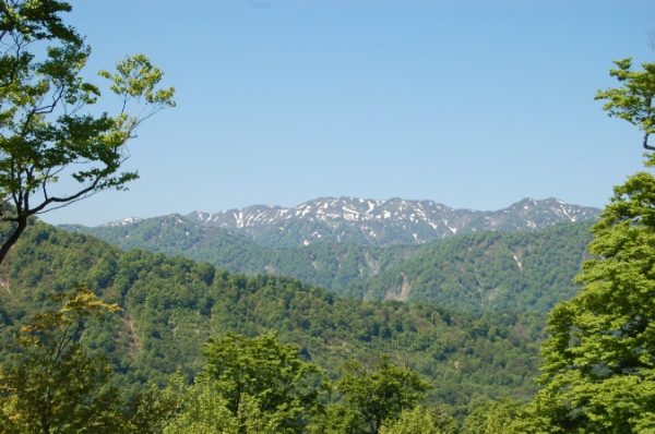 世界遺産 白神山地