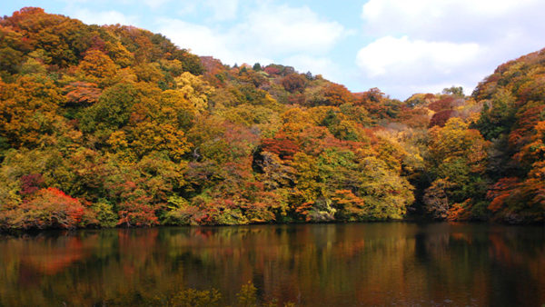 白神山地 十二湖