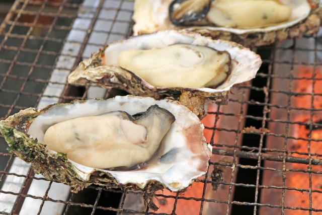 バナナマン せっかくグルメ 福岡 糸島 牡蠣