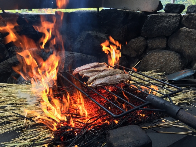 キャスト アキナ 野田 わら焼き カツオのたたき