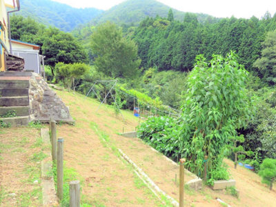 あいLOVE週末田舎暮らし よ～いドン 酒井藍 別荘 古民家 篠山 リノベーション