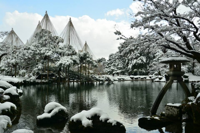 バナナマンせっかくグルメ グルメ 2月11日 石川 金沢 カニ のどぐろ