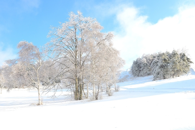 朝だ!生です旅サラダ ゲストの旅 3月3日 佐藤弘道お兄さん 青森 八甲田山