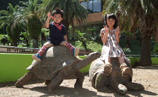 体感型動物園 iZoo（イズー） ガラパゴスゾウガメ