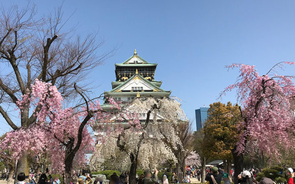 大阪城と桜