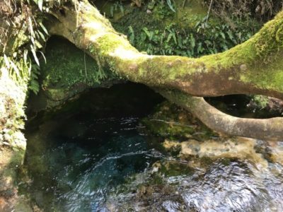 鹿児島 霧島 大出水の湧水