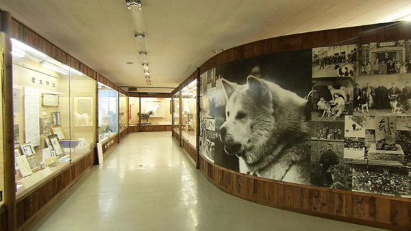 秋田犬会館