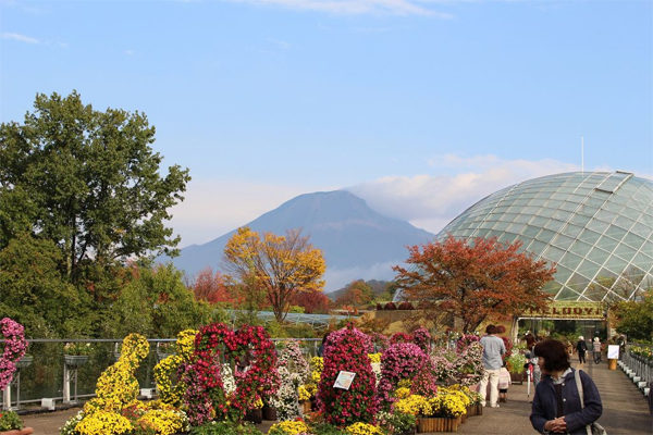 朝だ!生です旅サラダ ゲストの旅 6月16日 鳥取 大山 うつみ宮土理